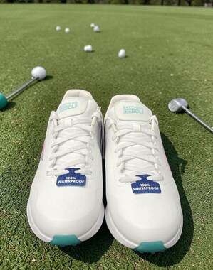 Skechers Women's Go Golf Max 3 Arch Spikeless Golf Shoes White/Multi Dog Print